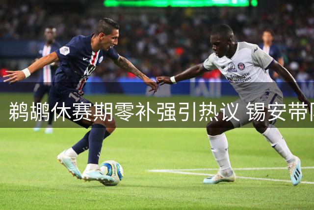 鹈鹕休赛期零补强引热议 锡安带队前景堪忧
